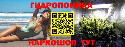 ПСИЛОЦИБИНОВЫЕ ГРИБЫ Гатчина