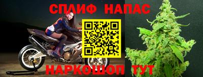 мдпв Гагарин