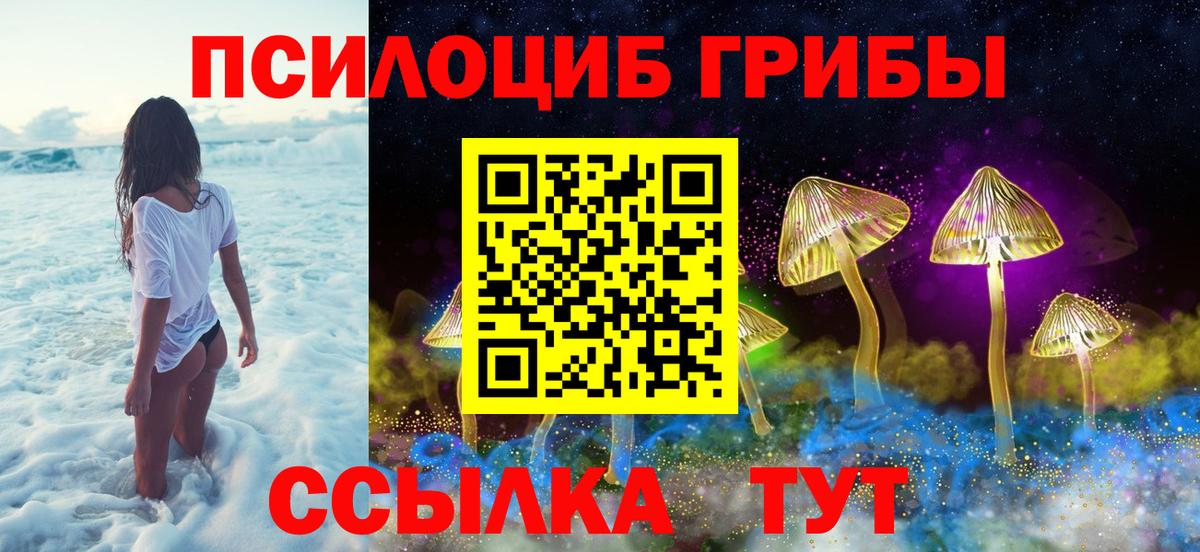 Назарово  Псилоцибиновые грибы MAGIC MUSHROOMS  Вход с VPN 