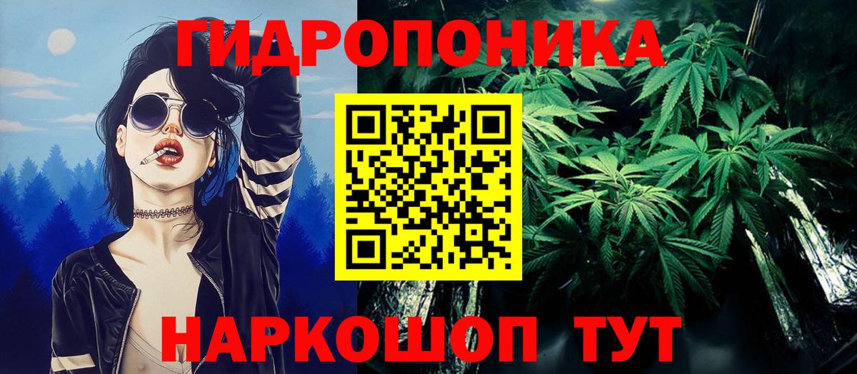 Шишки марихуана тримм  Вход с VPN  Конопля план  Назарово 